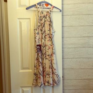 Express cocktail dress